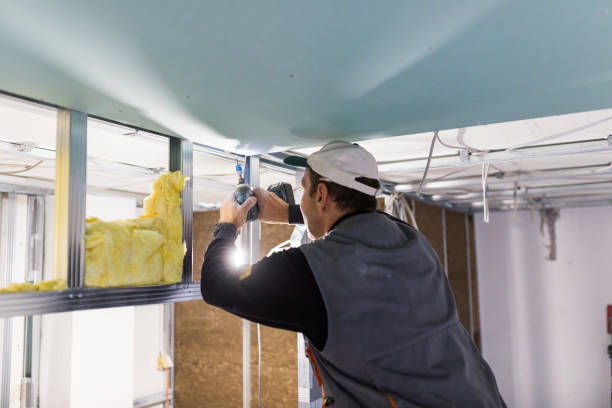 Best Attic Insulation Installation  in Granger, TX